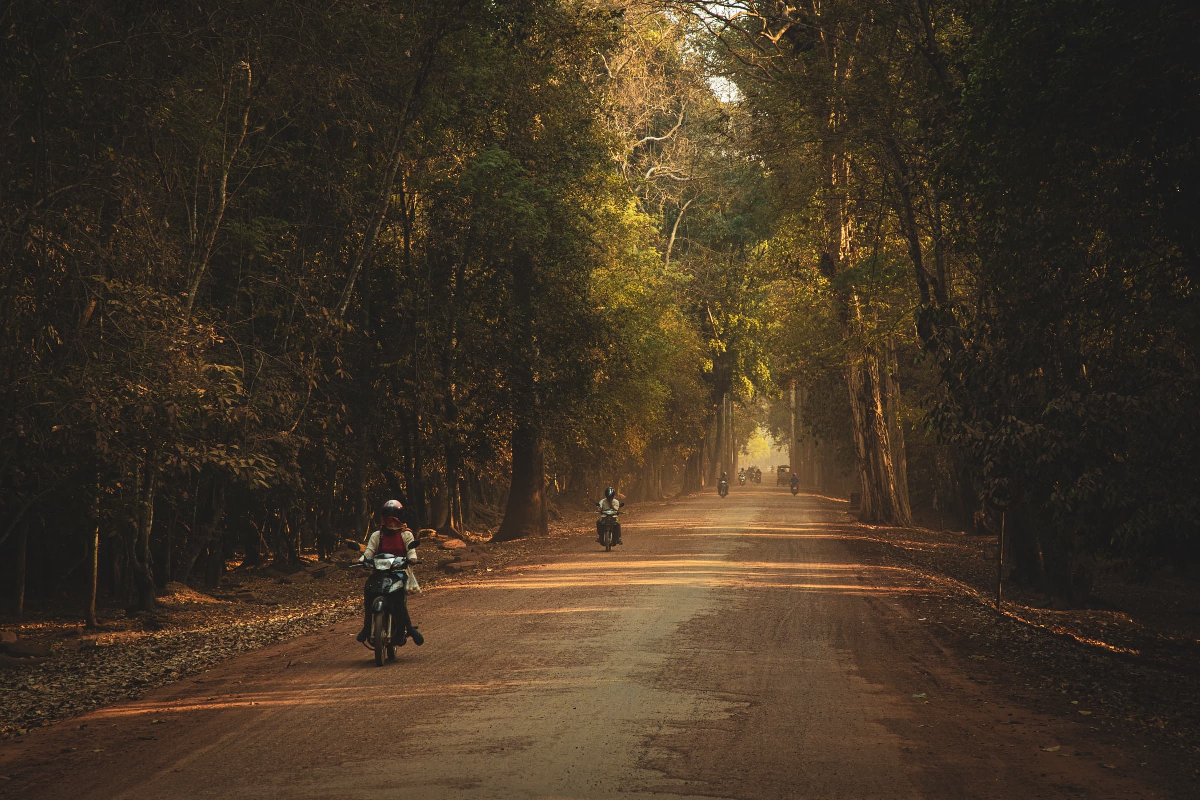 Forest Road — Cambodia