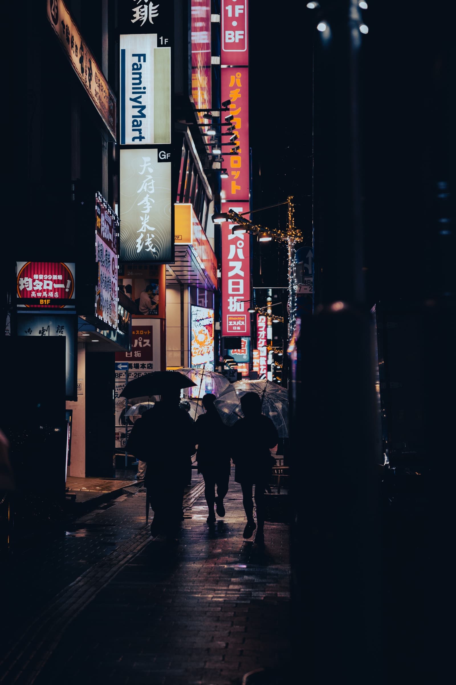 Neon Rain — Tokyo, Japan